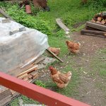 phoca_thumb_m_vychzky 42 Fotogalerie